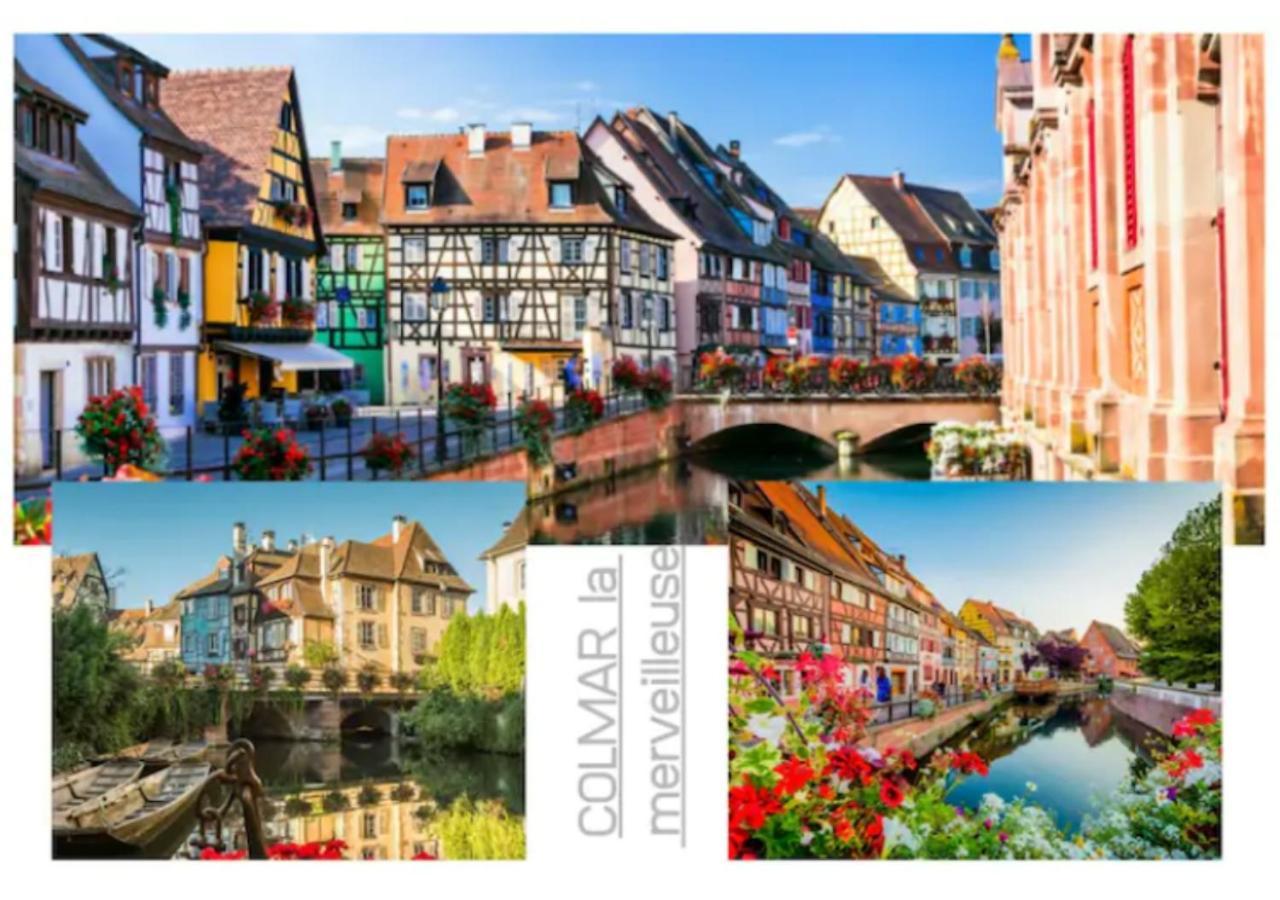 Peyerimhoff Colmar - 3 Chambres - 8 Pers - Clim Dış mekan fotoğraf