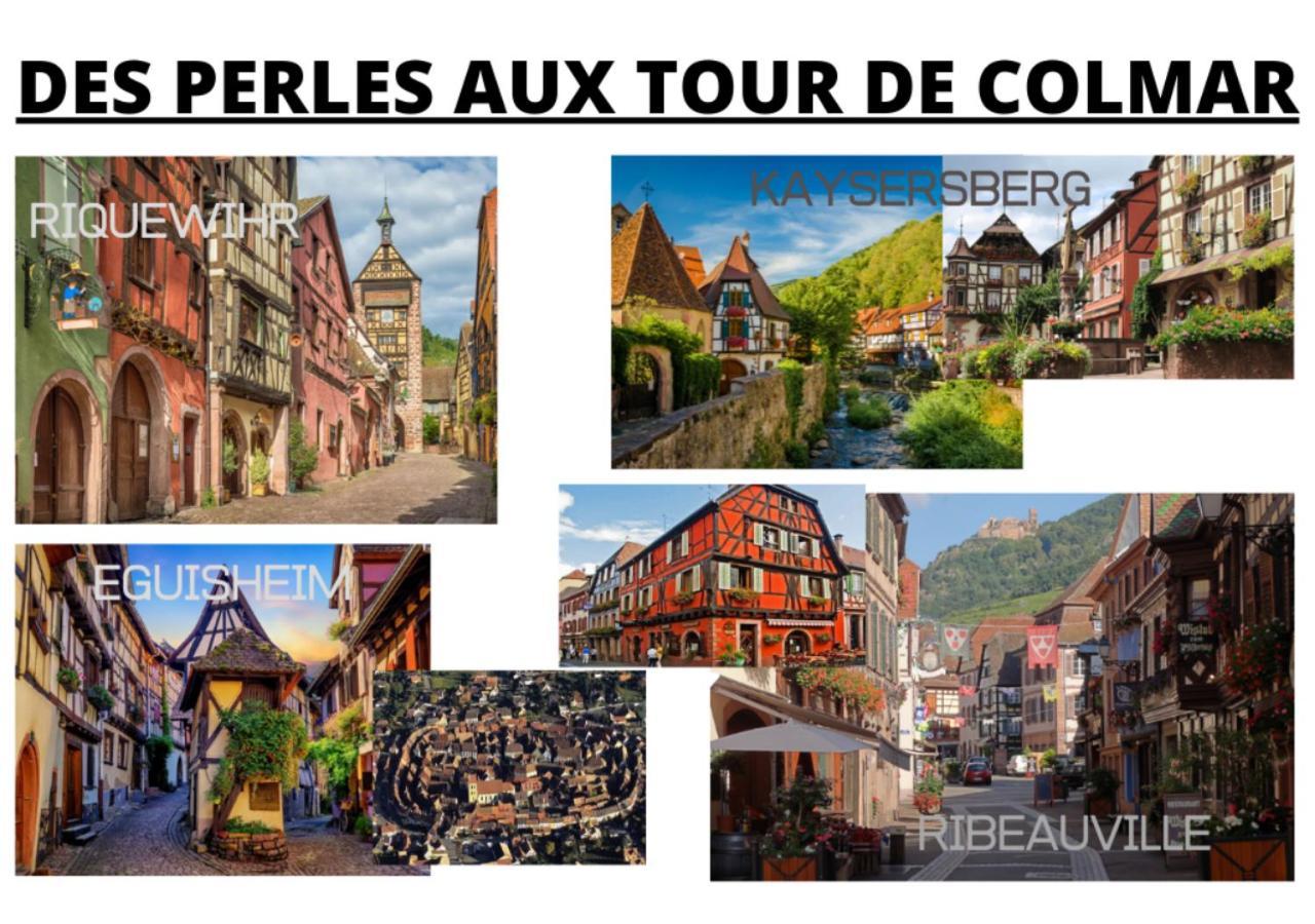 Peyerimhoff Colmar - 3 Chambres - 8 Pers - Clim Dış mekan fotoğraf